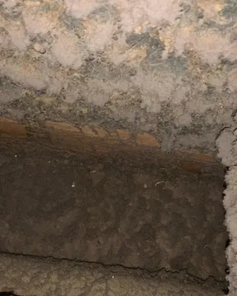 Before: Heavy dust and debris inside a main trunk line