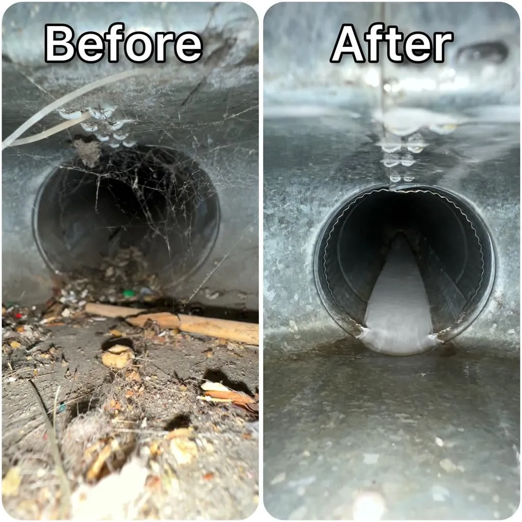 How Much Does Air Duct Cleaning Cost in Louisville, CO? (2026 Price Guide)